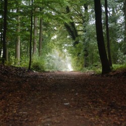 DSC 0549 - Sportraad Zaventem 